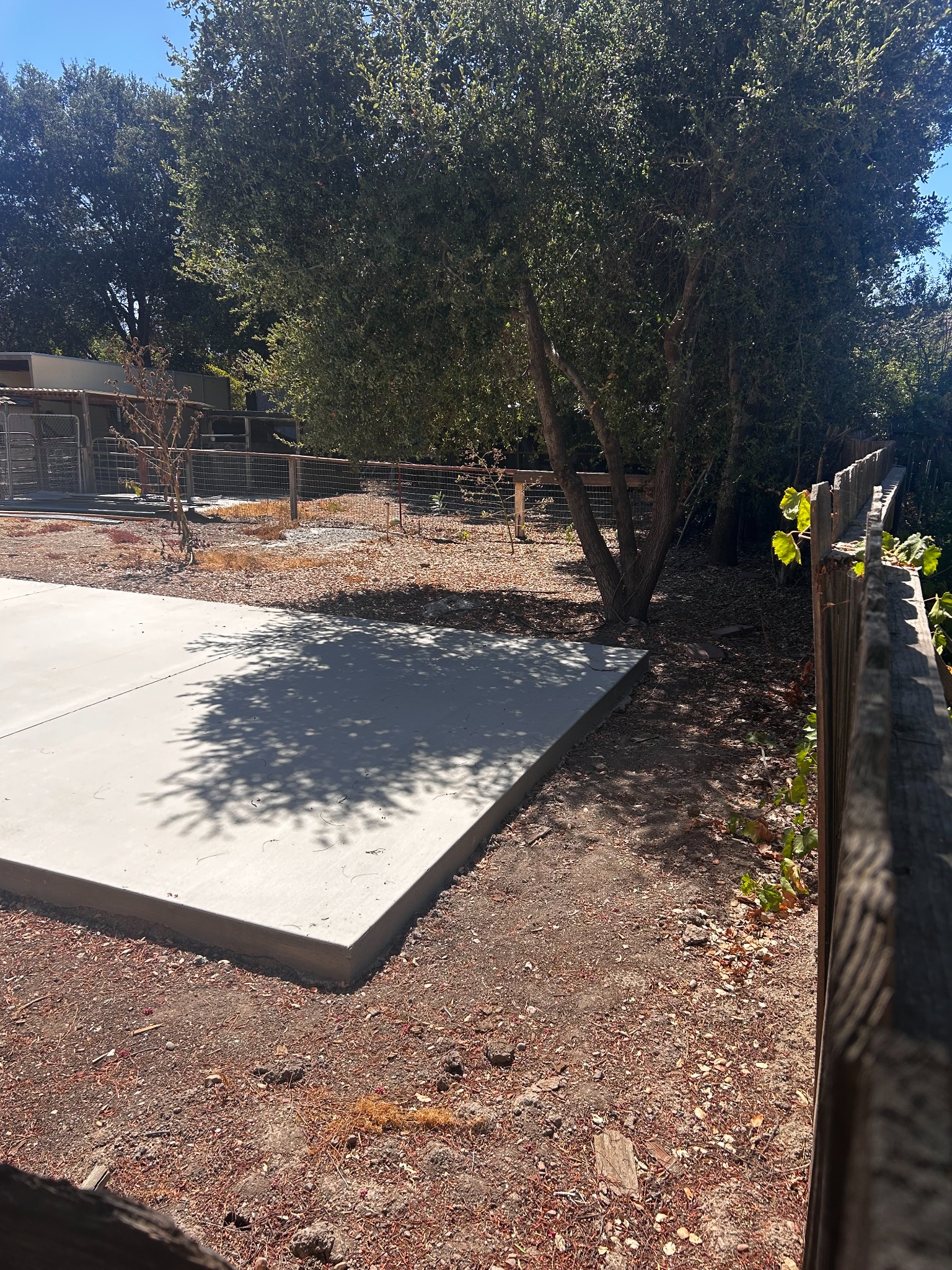 Concrete slab extending close to a wooden fence along its right side